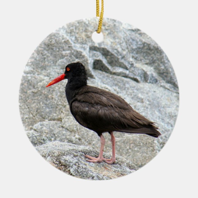 Oystercatcher Ceramic Tree Decoration (Front)
