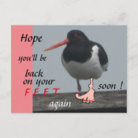 Oystercatcher Get Well Soon Humour Postcard