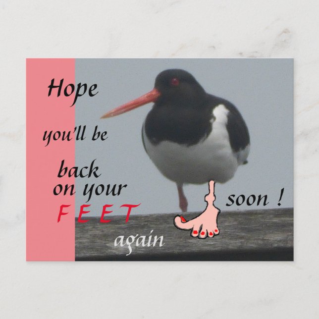 Oystercatcher Get Well Soon Humour Postcard (Front)