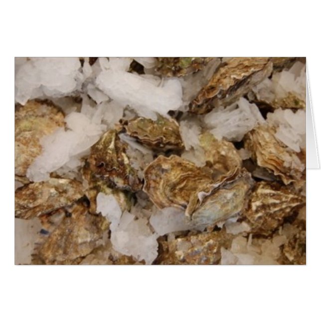 oysters (Front Horizontal)