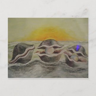 Oysters and Pearls Postcard