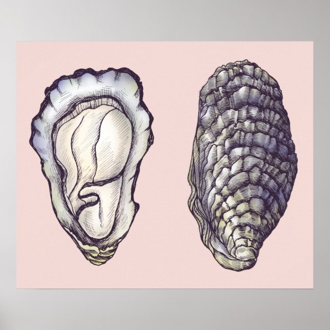 Oysters Poster (Front)
