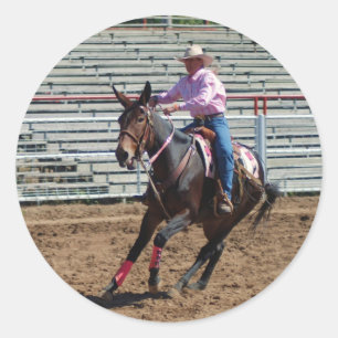 ozark mule days classic round sticker