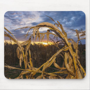 Ozarks Harvest Mouse Mat