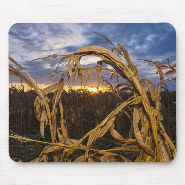 Ozarks Harvest Mouse Mat (Front)