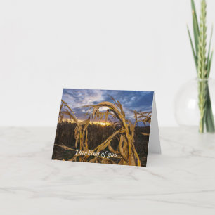 Ozarks Harvest Thinking Of You Card