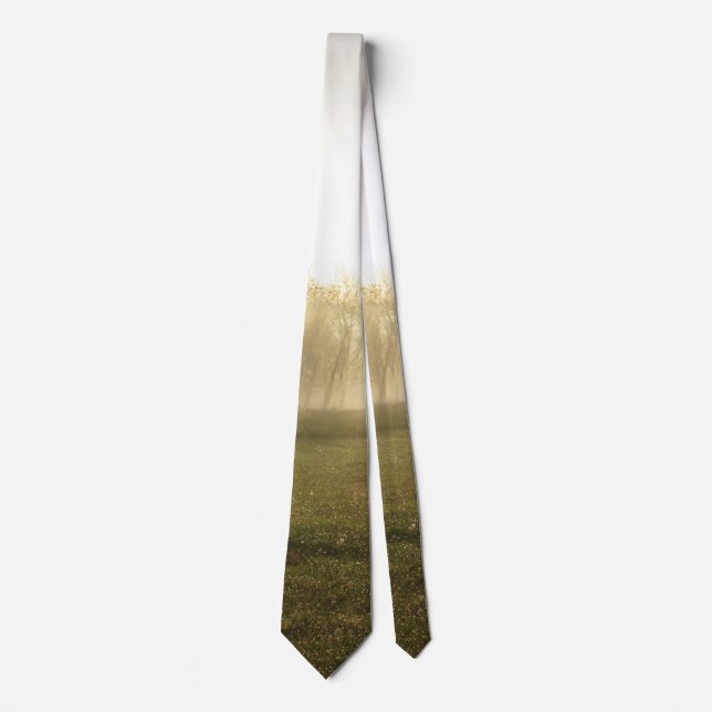 Ozarks Morning Fog Neck Tie (Front)
