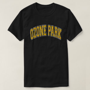 Ozone Park Ny Queens Varsity Style Amber Text  T-Shirt
