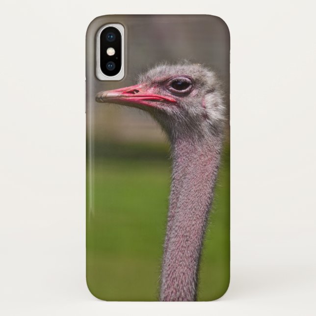 Ozzie iPhone X Case (Back)