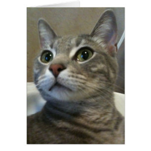 Ozzy Card 1