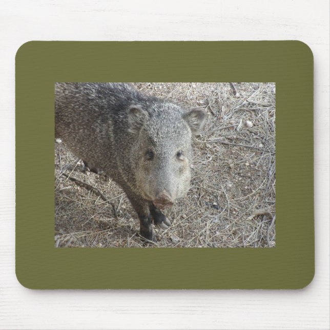 P1010073 Javelina mousepad (Front)