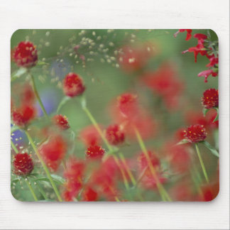 P2290C_strawberry ghomphera_zazzle Mouse Mat