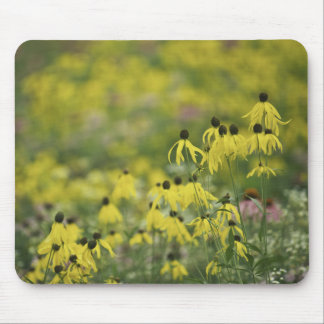 P2526a_yellow coneflower monet_zazzle mouse mat