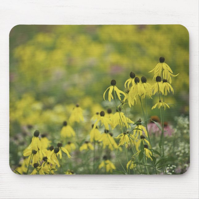 P2526a_yellow coneflower monet_zazzle mouse mat (Front)