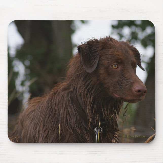 P2 Red Dog Sam Flatlandersam Mouse Mat (Front)