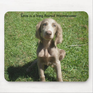 P3091298, Love is a long haired Weimaraner Mouse Mat