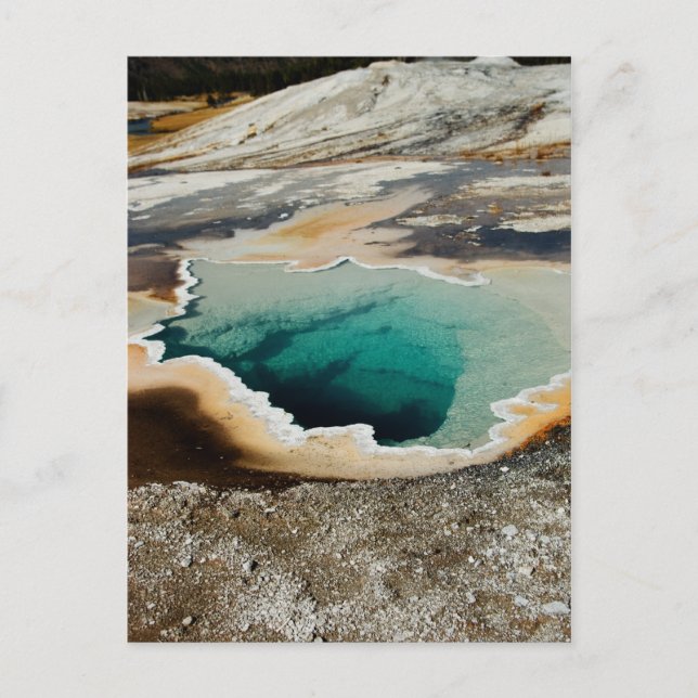 #P4078 Postcard (Front)