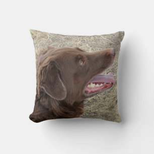 P4 Flatlandersam Profile Cushion