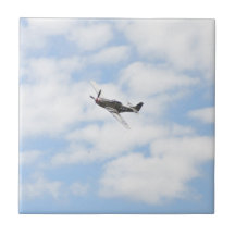 P51 Mustang In Flight