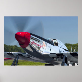 P51 POSTER