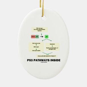 P53 Pathways Inside (Cell Molecular Biology) Ceramic Tree Decoration