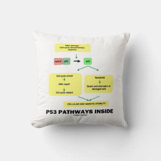 p53 Pathways Inside Cell Molecular Biology Cushion