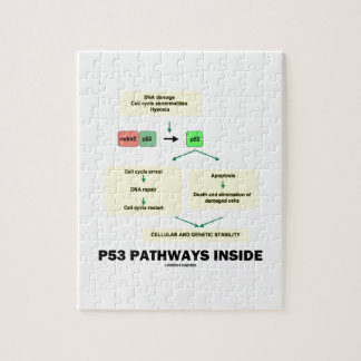 P53 Pathways Inside (Cell Molecular Biology) Jigsaw Puzzle