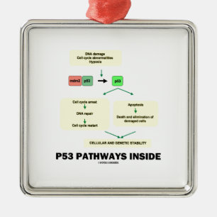 P53 Pathways Inside (Cell Molecular Biology) Metal Tree Decoration