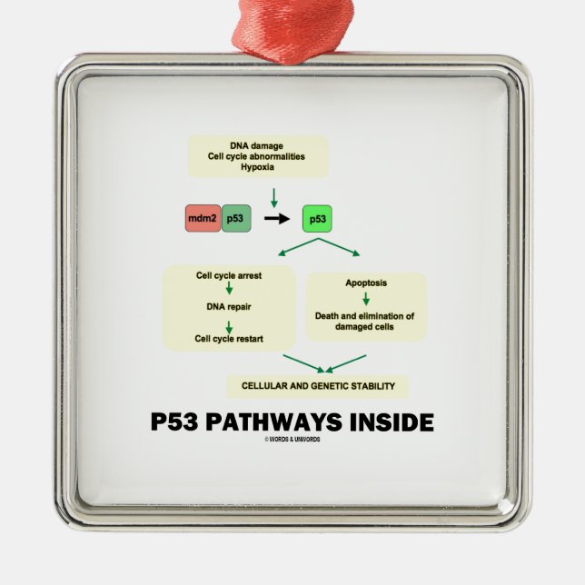 P53 Pathways Inside (Cell Molecular Biology) Metal Tree Decoration (Front)