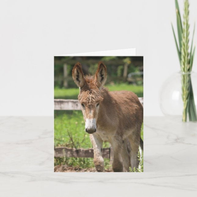 P6038047 CARD (Front)