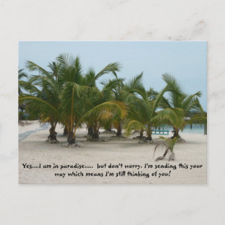 P6240208, Yes....I am in paradise.....  but don... Postcard