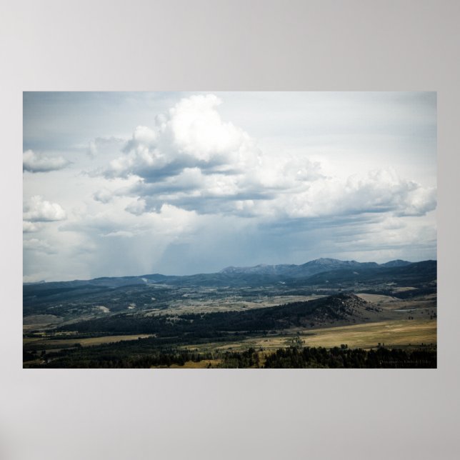 #P6993 Print (Front)