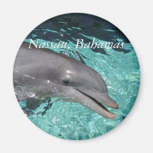 P8010404, Nassau, Bahamas Magnet