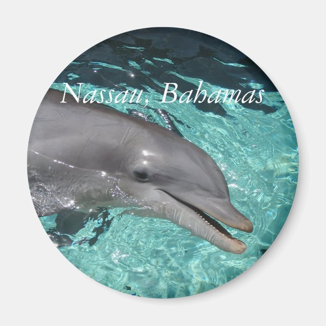 P8010404, Nassau, Bahamas Magnet (Front)