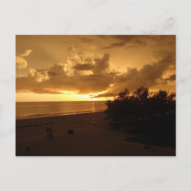 P8190542 POSTCARD (Front)