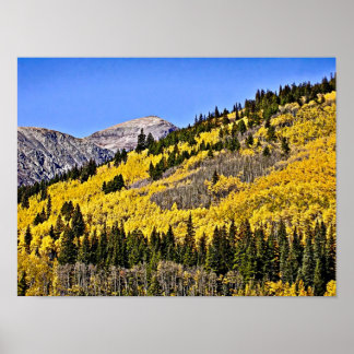 P9270030 - Hill of Golden Aspen Poster