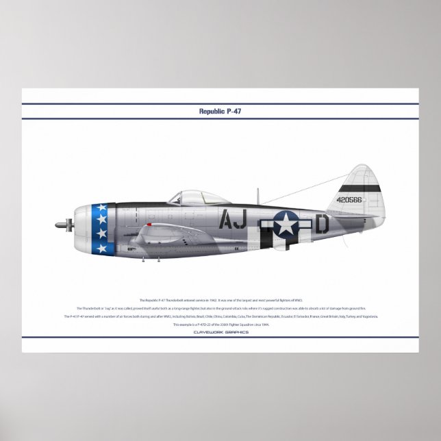 P-47D 356FS USAAF POSTER (Front)