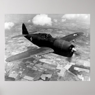 P-47D Thunderbolt Poster