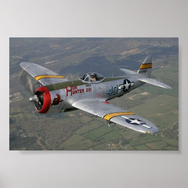 p-51 Mustang Poster (Front)