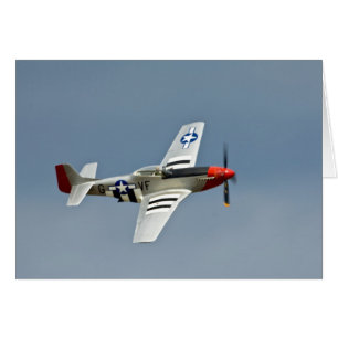 P-51D Mustang Fighter with D-Day markings flying