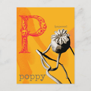 P is for Poppy  Postcard