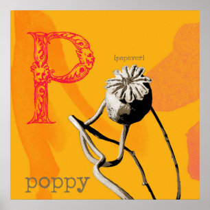 P is for Poppy Print, Value Poster Paper (Matte)