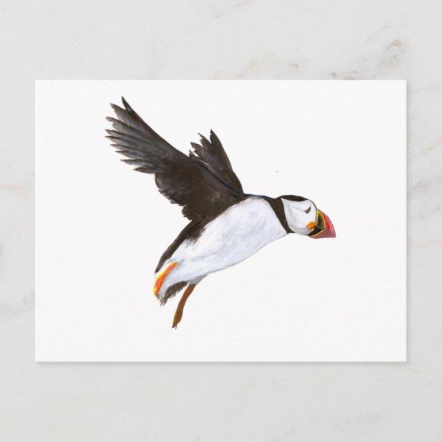P. Puffin / carte postale Postcard (Front)