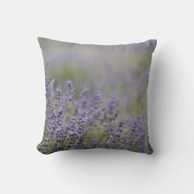 © P Wherrell Beautiful photo purple lavender field Cushion (Front)