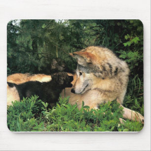 p-Wolves_Bay_Street_Cal2001 Mouse Mat