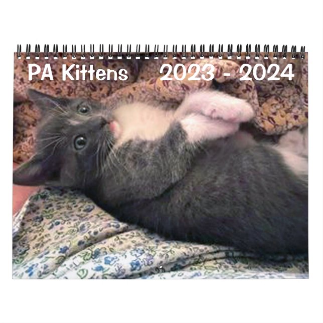 PA Kittens 2 Year Calendar (Cover)