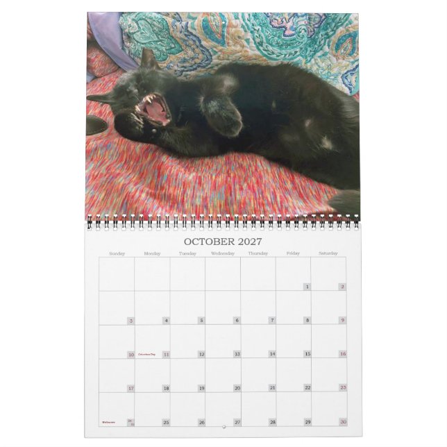 PA Paws 2 Year Calendar 2023-2024 (Oct 2027)