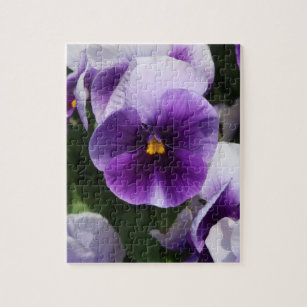 Paars Viooltje (Purple Violet) Jigsaw Puzzle