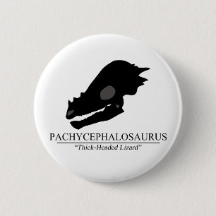Pachycephalosaurus Skull 6 Cm Round Badge