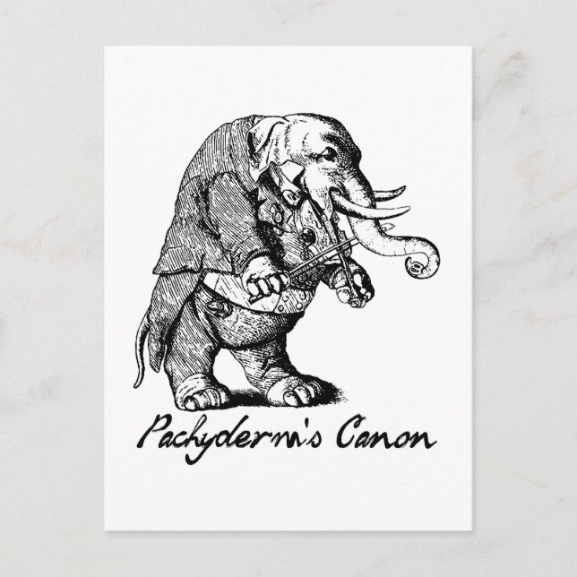 Pachyderm's Canon Violin playing Elephant Fiddle Postcard (Front)